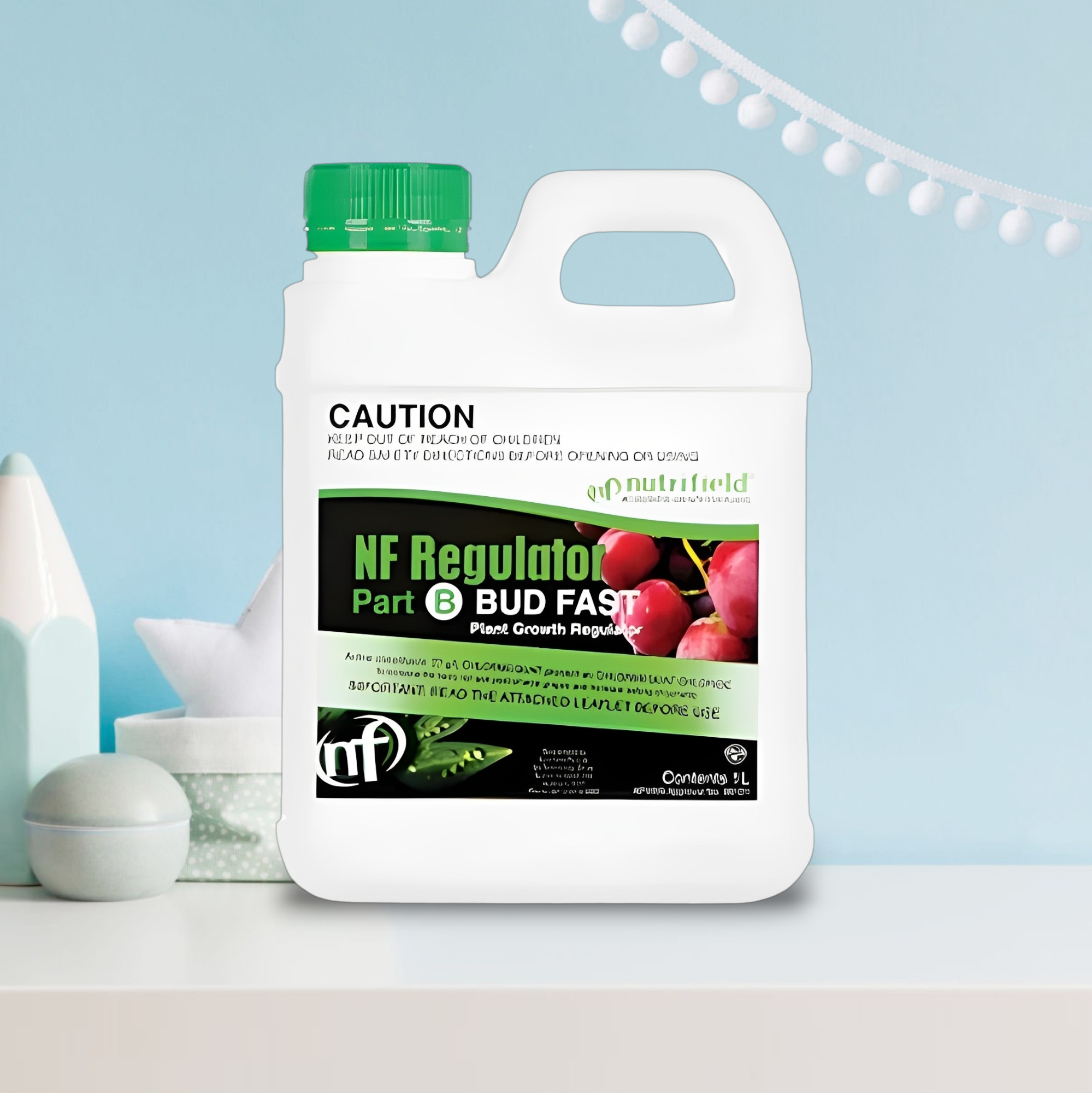 Regulator Bud Fast 1L part B