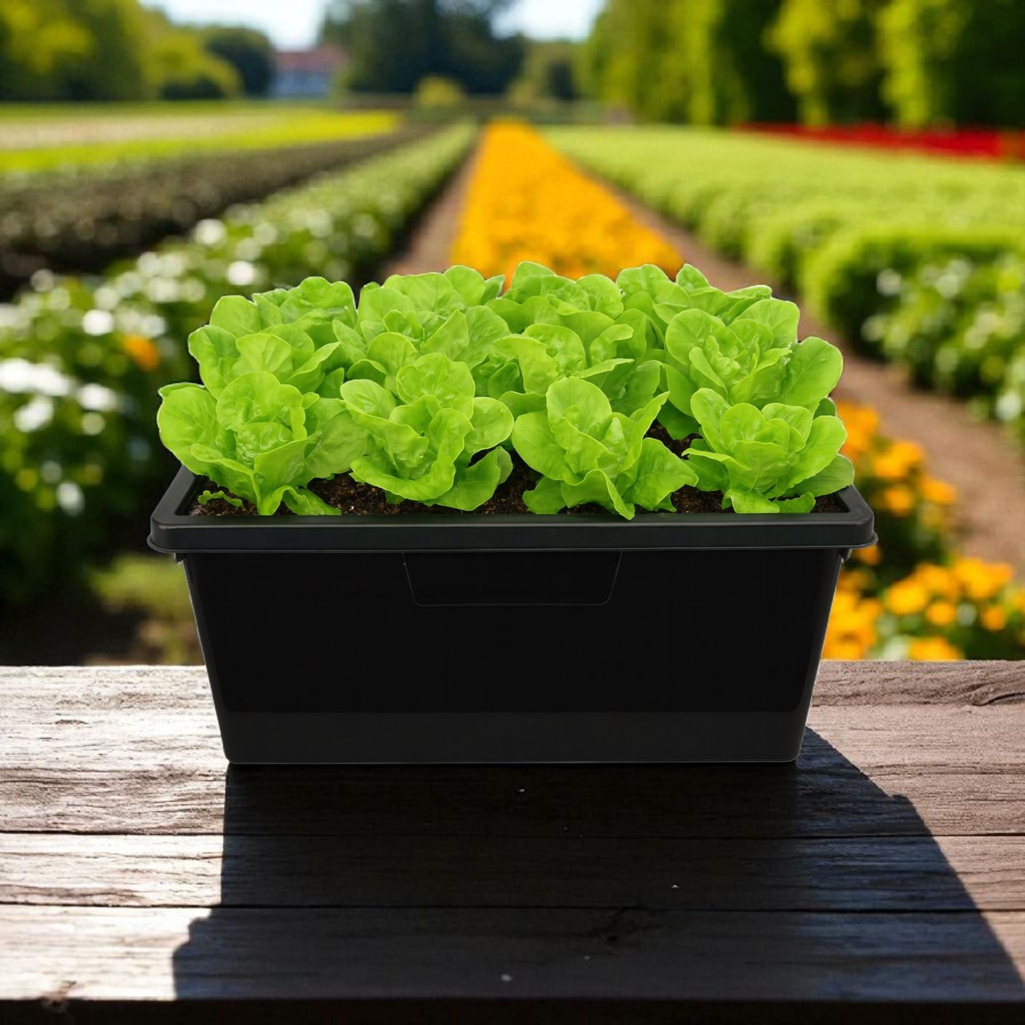 Black Tub with Lid 80L