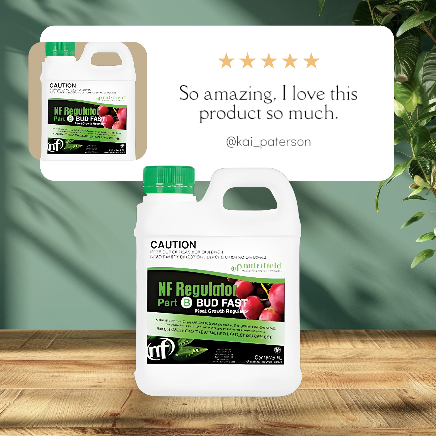 Regulator Bud Fast 1L part B