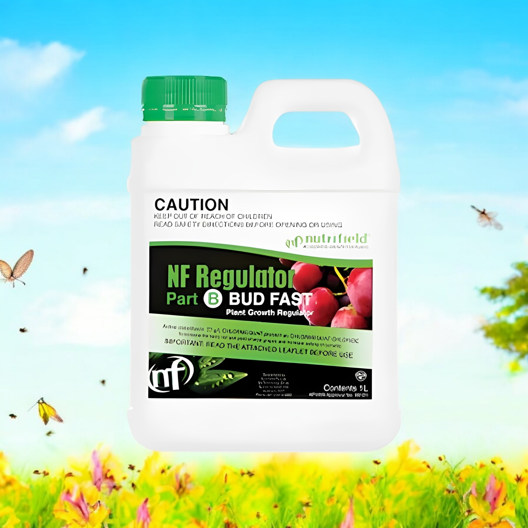 Regulator Bud Fast 1L part B