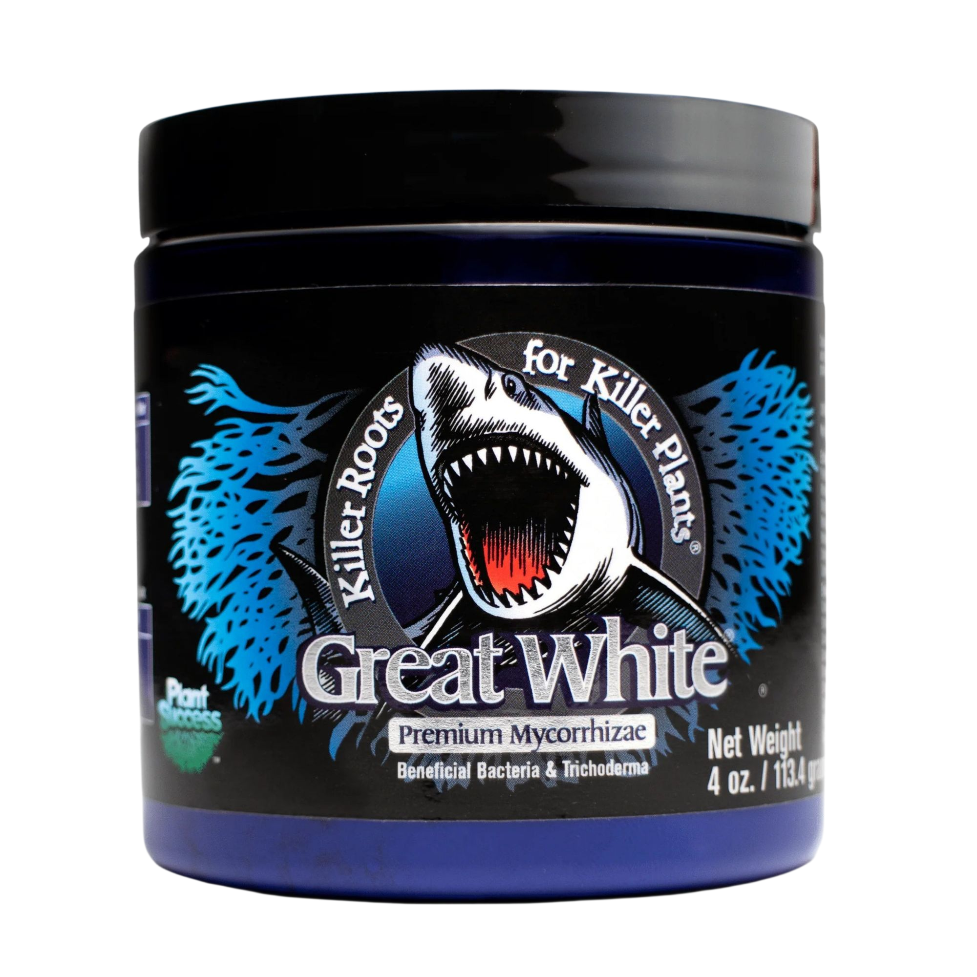 Great White Mycorrhizae