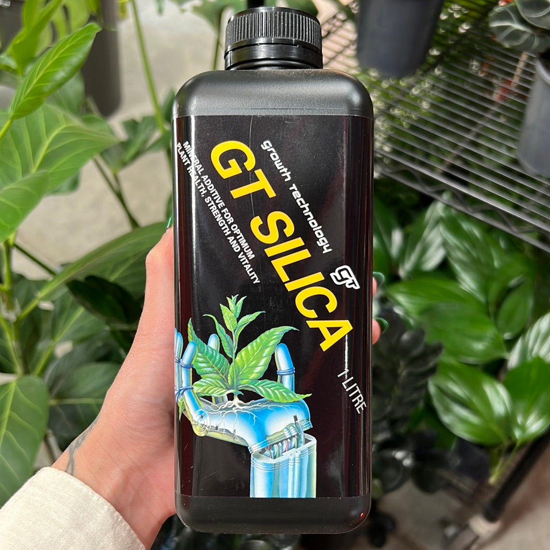 GT Silica