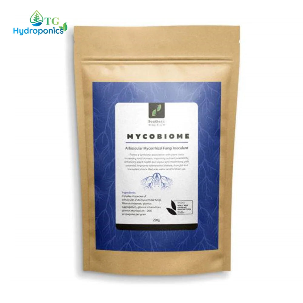 Southern No Till Mycobiome