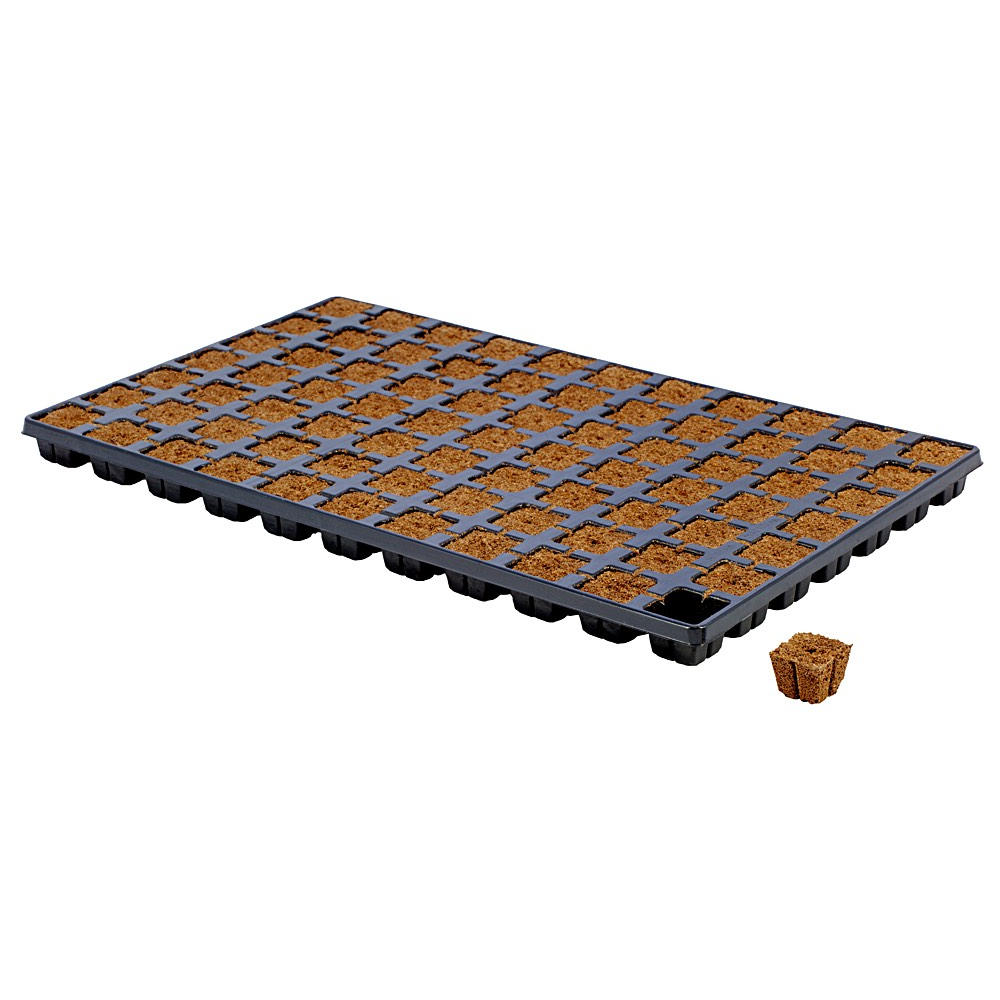 Eazy Plug - 12 | 24 | 77 packs - TG-Hydroponics