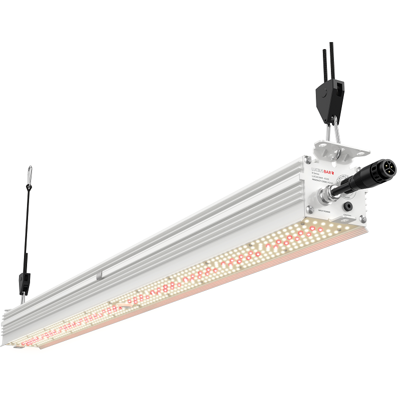 Lucius Bar R LED - TG-Hydroponics