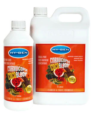 HY-GEN CORNUCOPIA COCO BLOOM | SINGLE PART