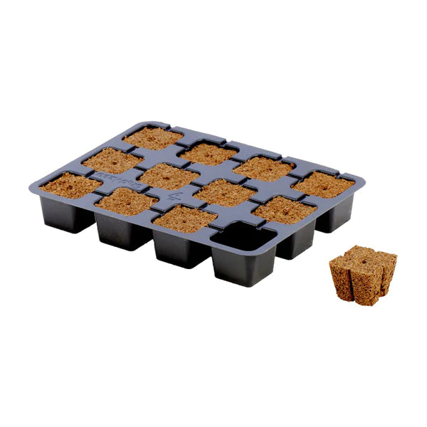 Eazy Plug - 12 | 24 | 77 packs - TG-Hydroponics