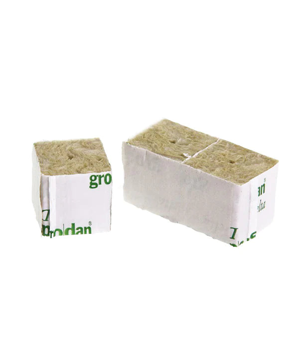 Grodan Rockwool Cubes