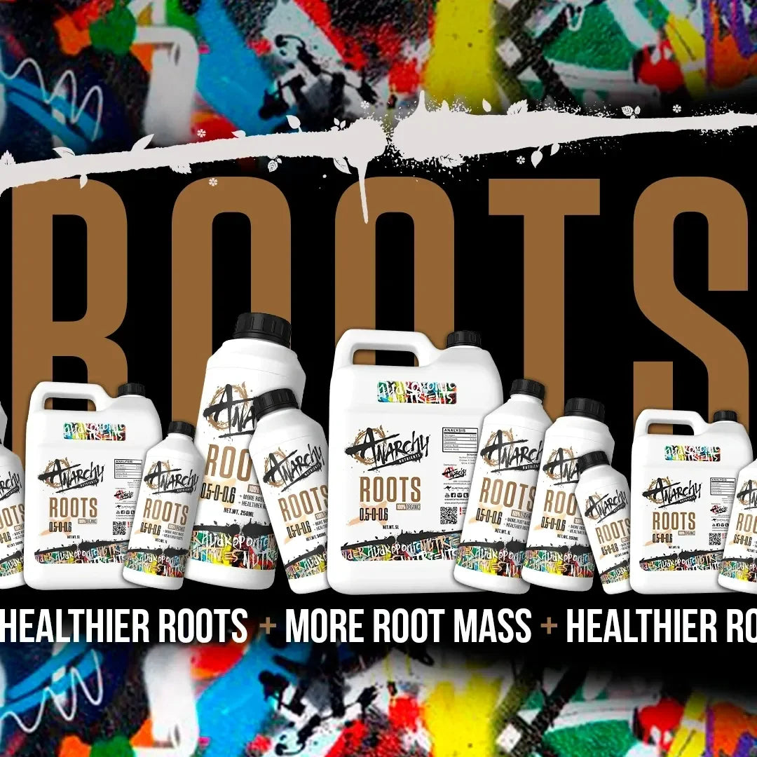 Maximise Your ROOT MASS WITH Anarchy ROOTS