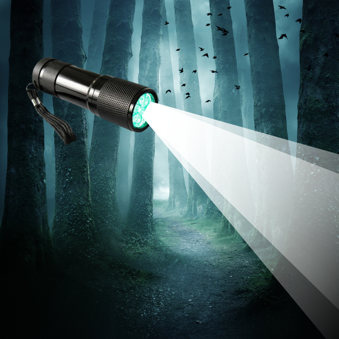 LED Green Torch