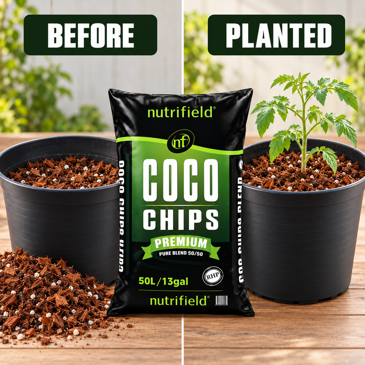 AI-created before-and-planted setup showing an empty pot and a tomato seedling in Nutrifield Coco Chips Blend 50/50.
