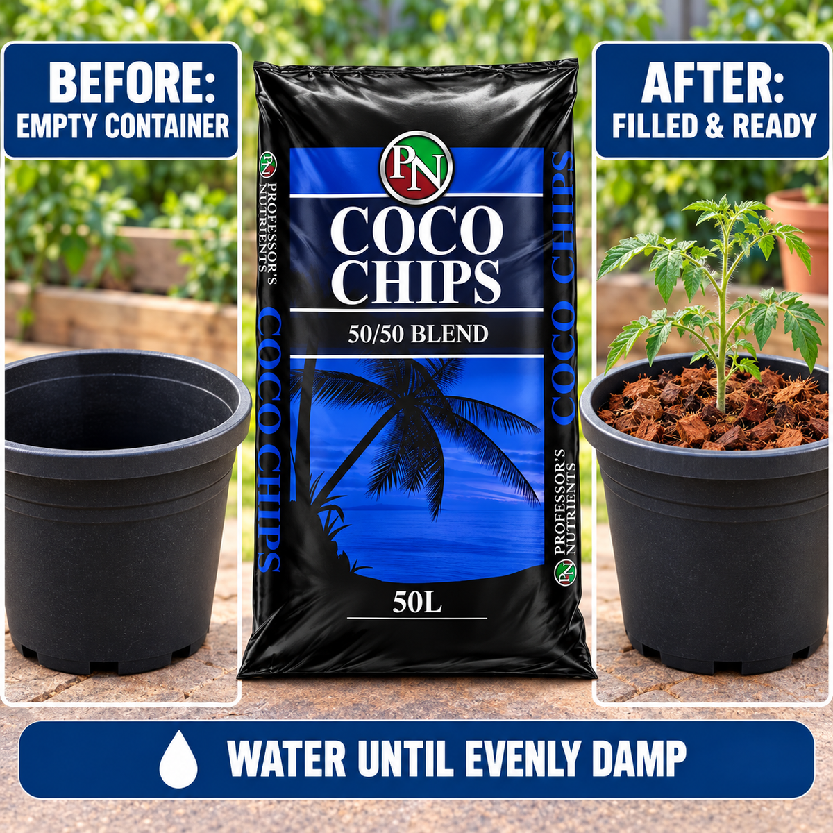 AI-created before-and-after guide showing an empty container and a tomato seedling planted in Professor's Coco Chips 50/50 Blend.