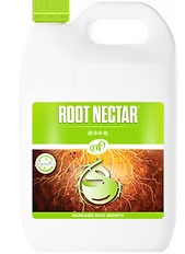 ROOT NECTAR