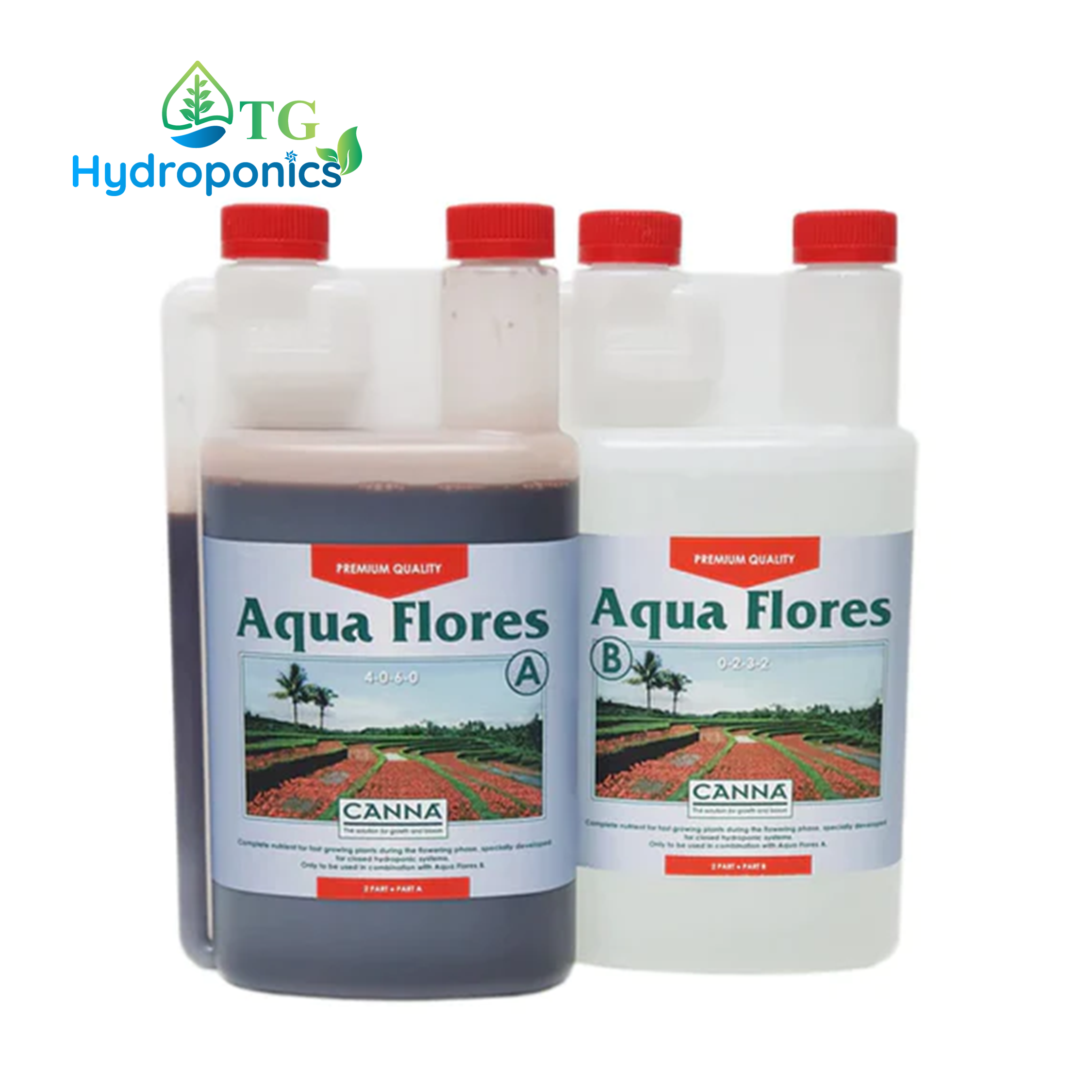Canna Aqua Flores A & B