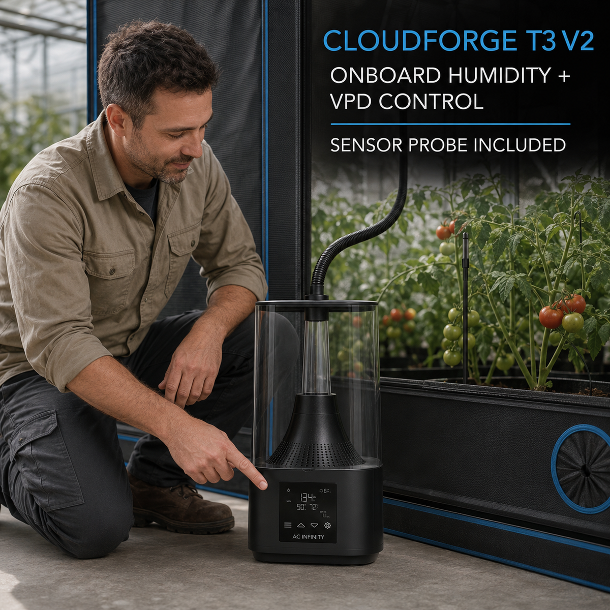 Adult Australian greenhouse technician setting an AC Infinity Cloudforge T3 V2 humidifier beside a tomato grow tent with the hose and sensor probe positioned.