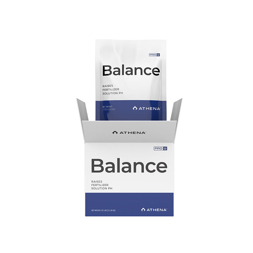 Athena Pro Line Balance - 4.53KG / 11.34KG