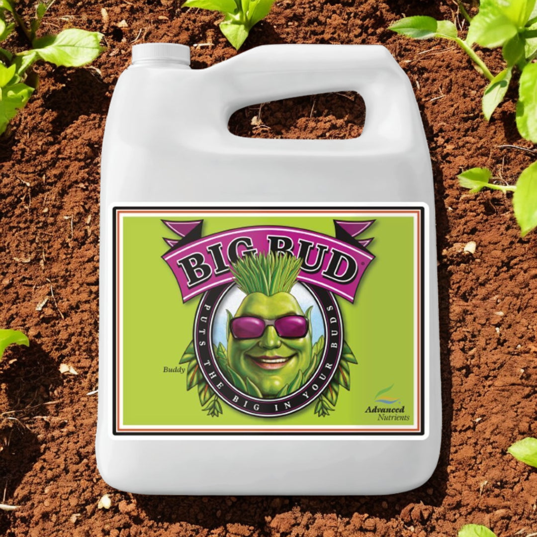 Advanced Nutrients Big Bud