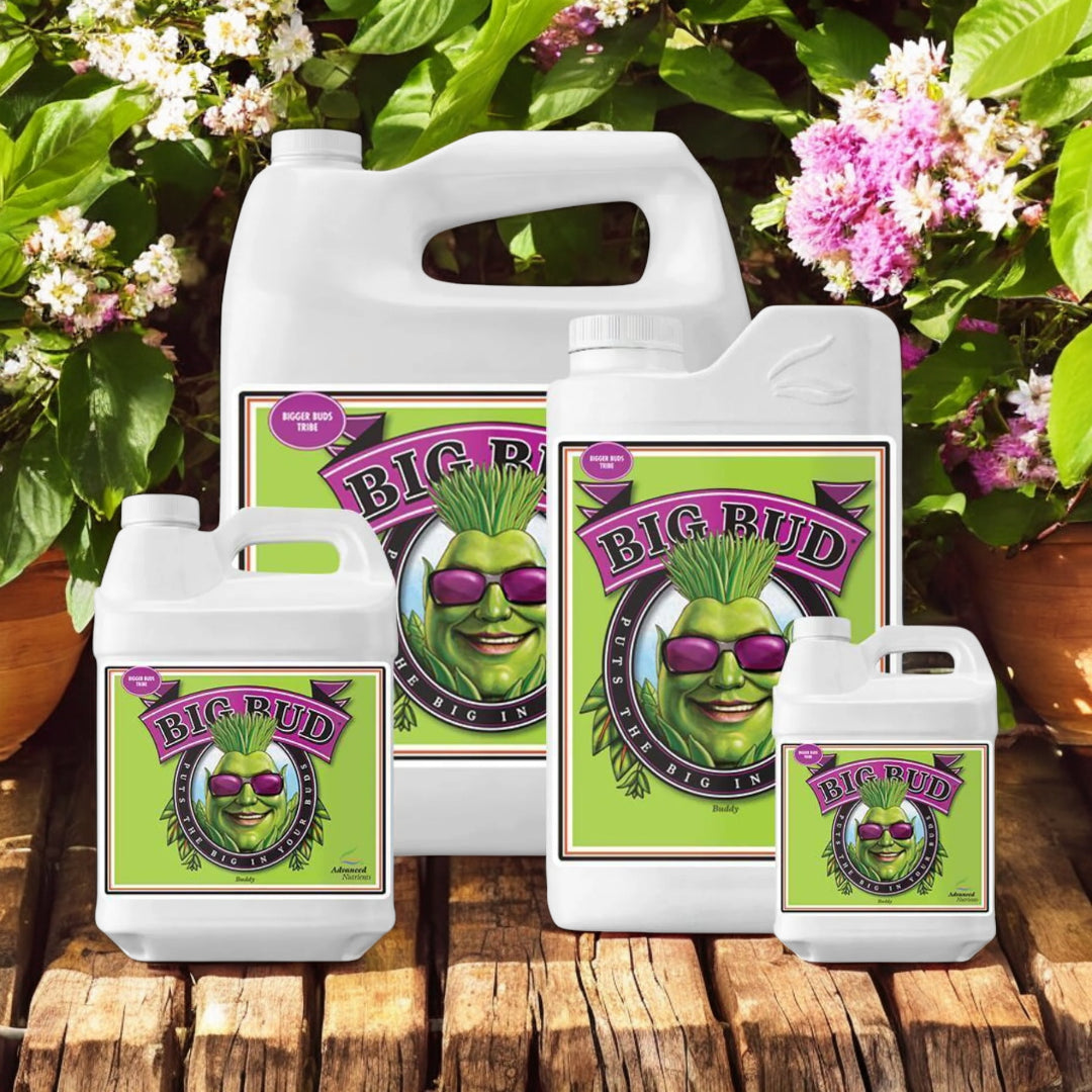 Advanced Nutrients Big Bud