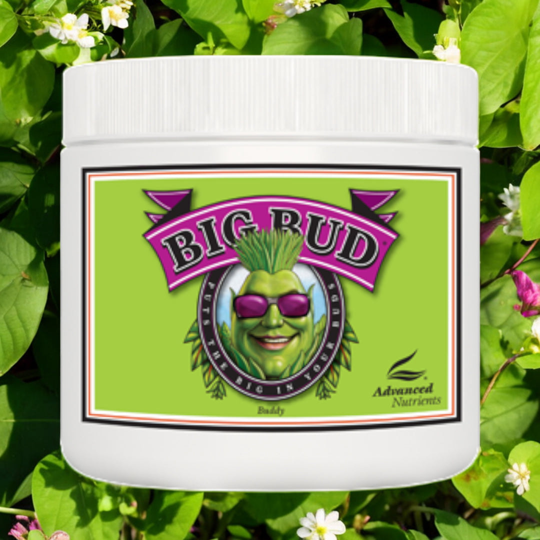 Advanced Nutrients Big Bud