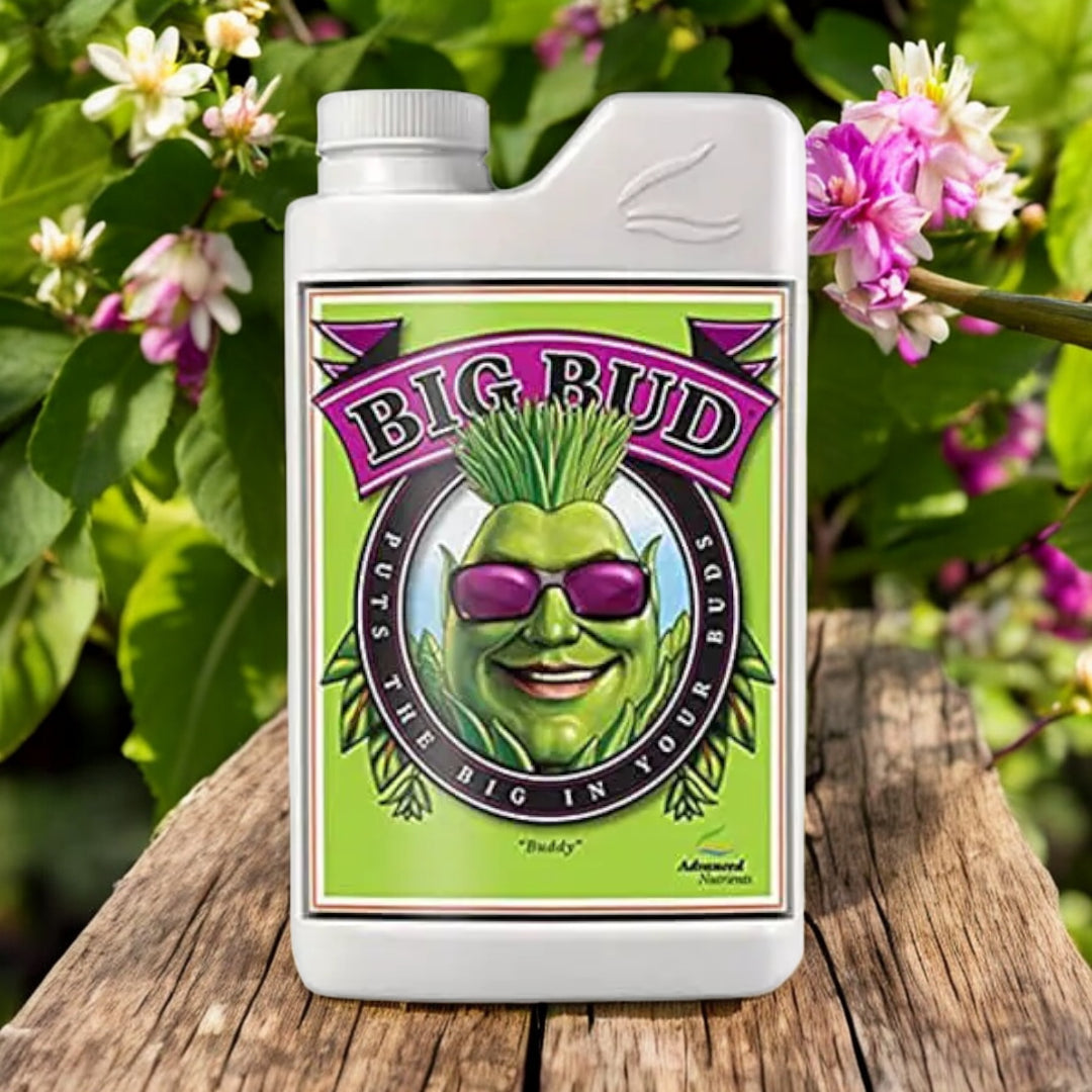 Advanced Nutrients Big Bud