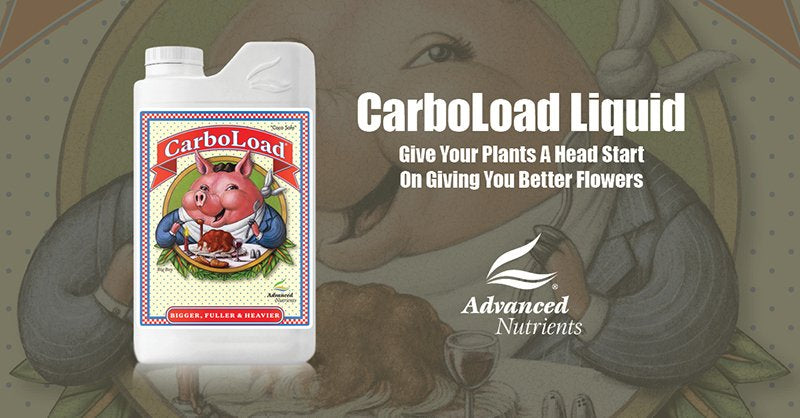 Advanced Nutrients Carbo Load