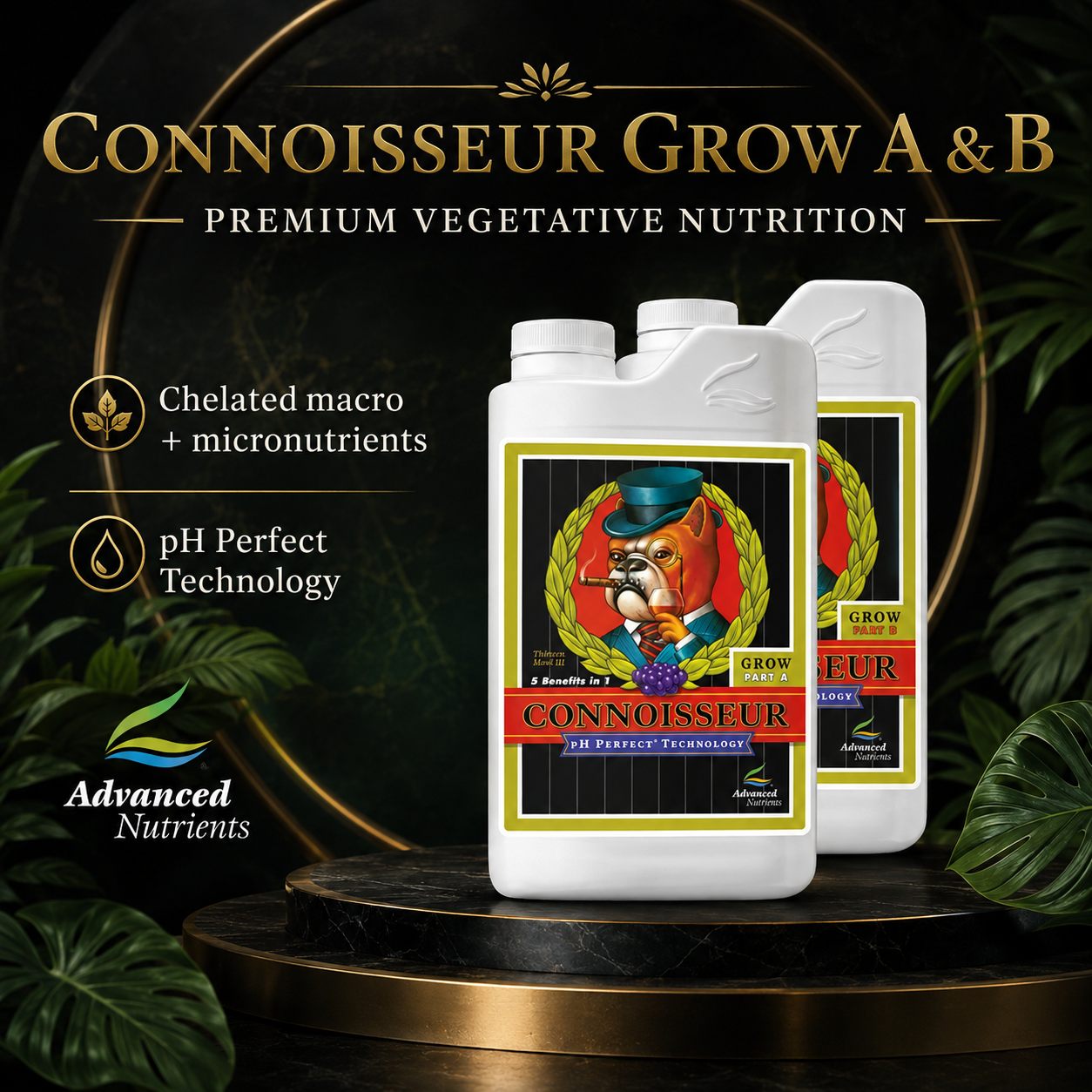Advanced Nutrients Connoisseur Grow A & B