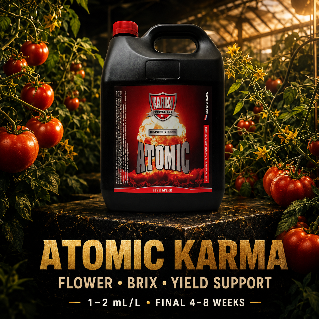 ATOMIC KARMA
