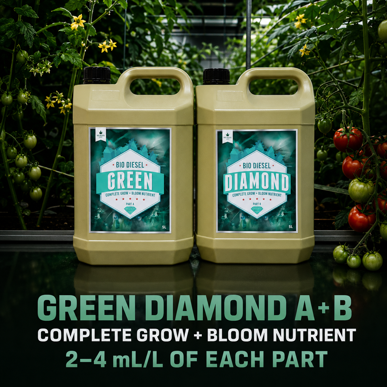 Bio Diesel Green Diamond A & B