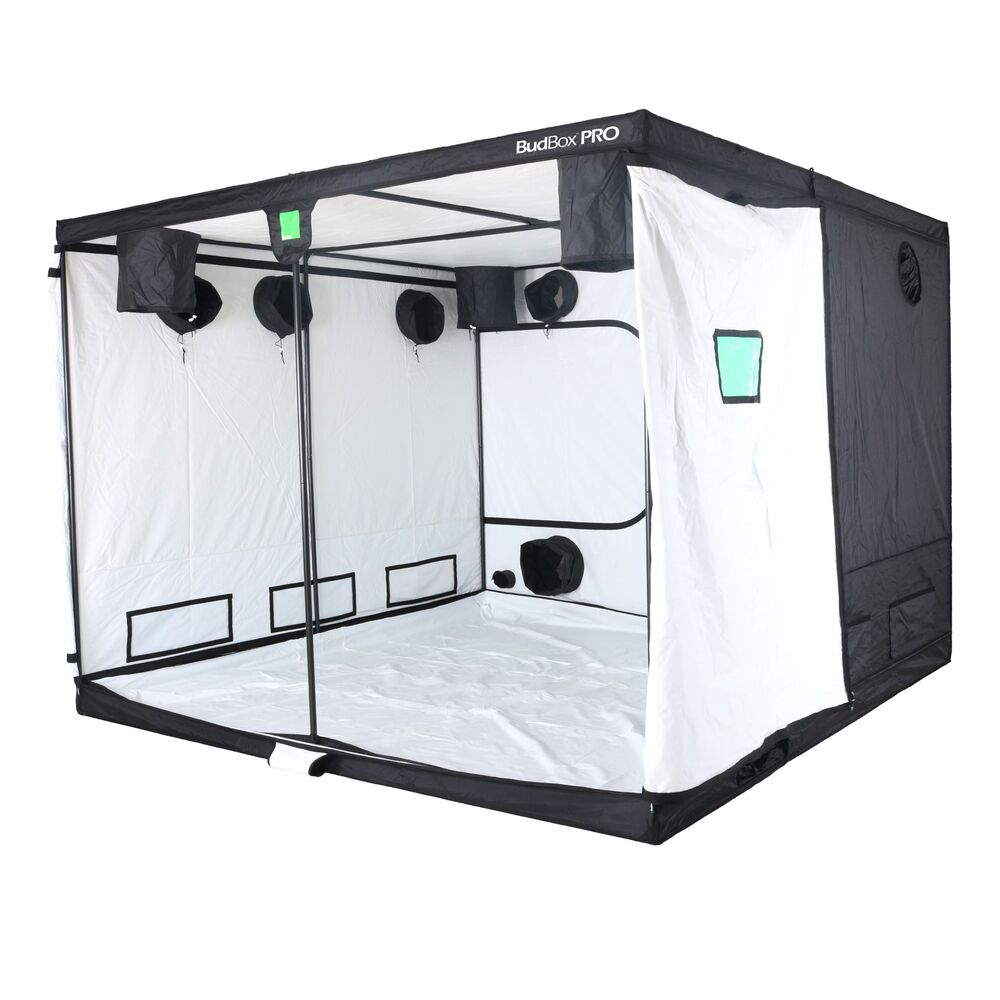 BudBox Pro White Tent