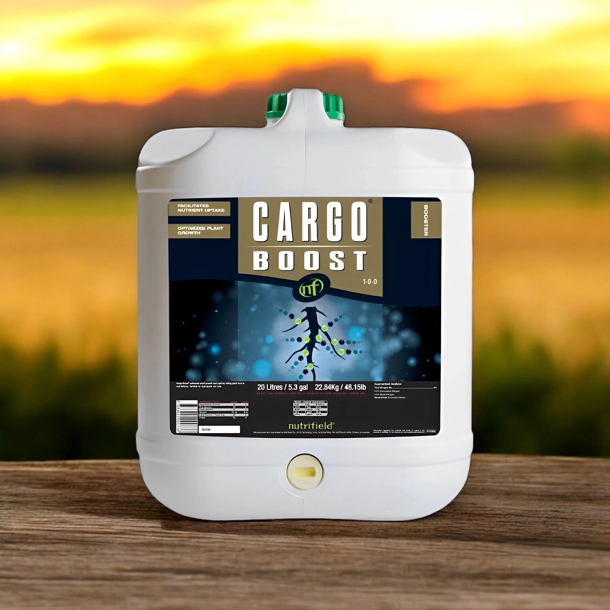 CARGO BOOST