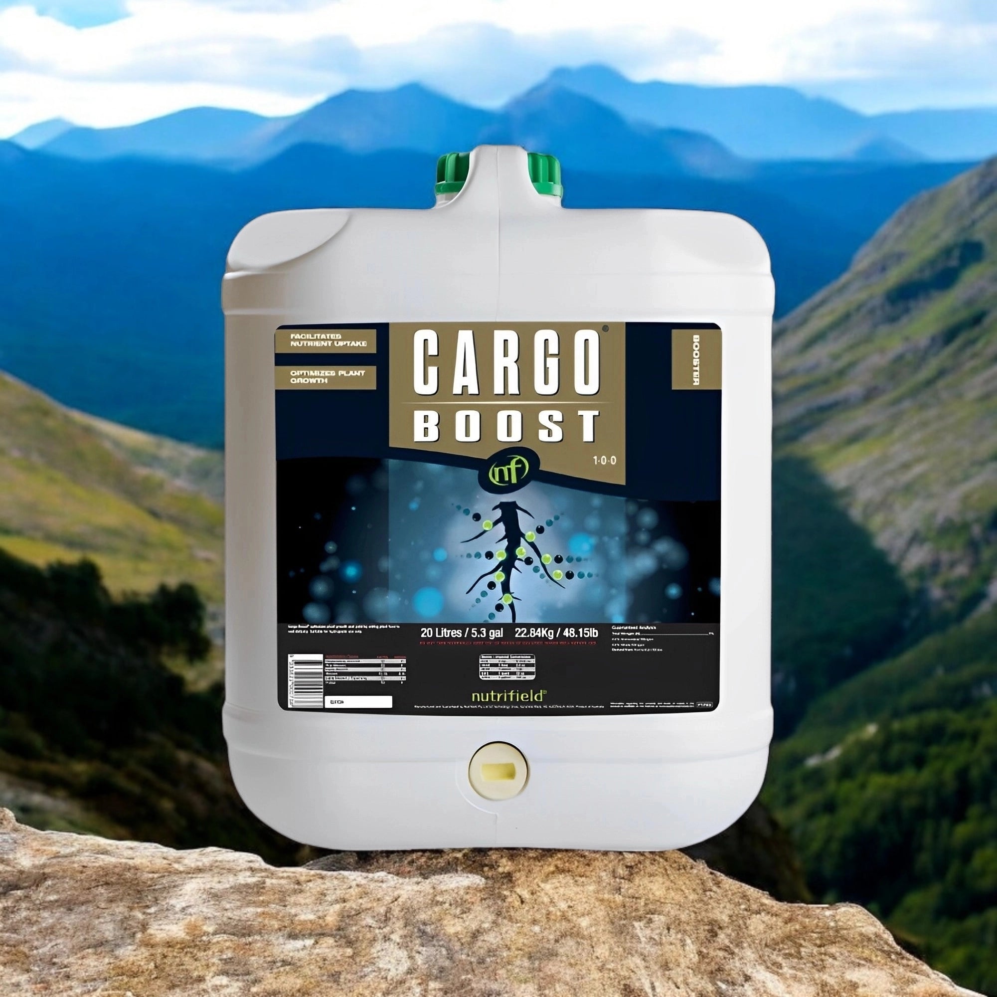CARGO BOOST