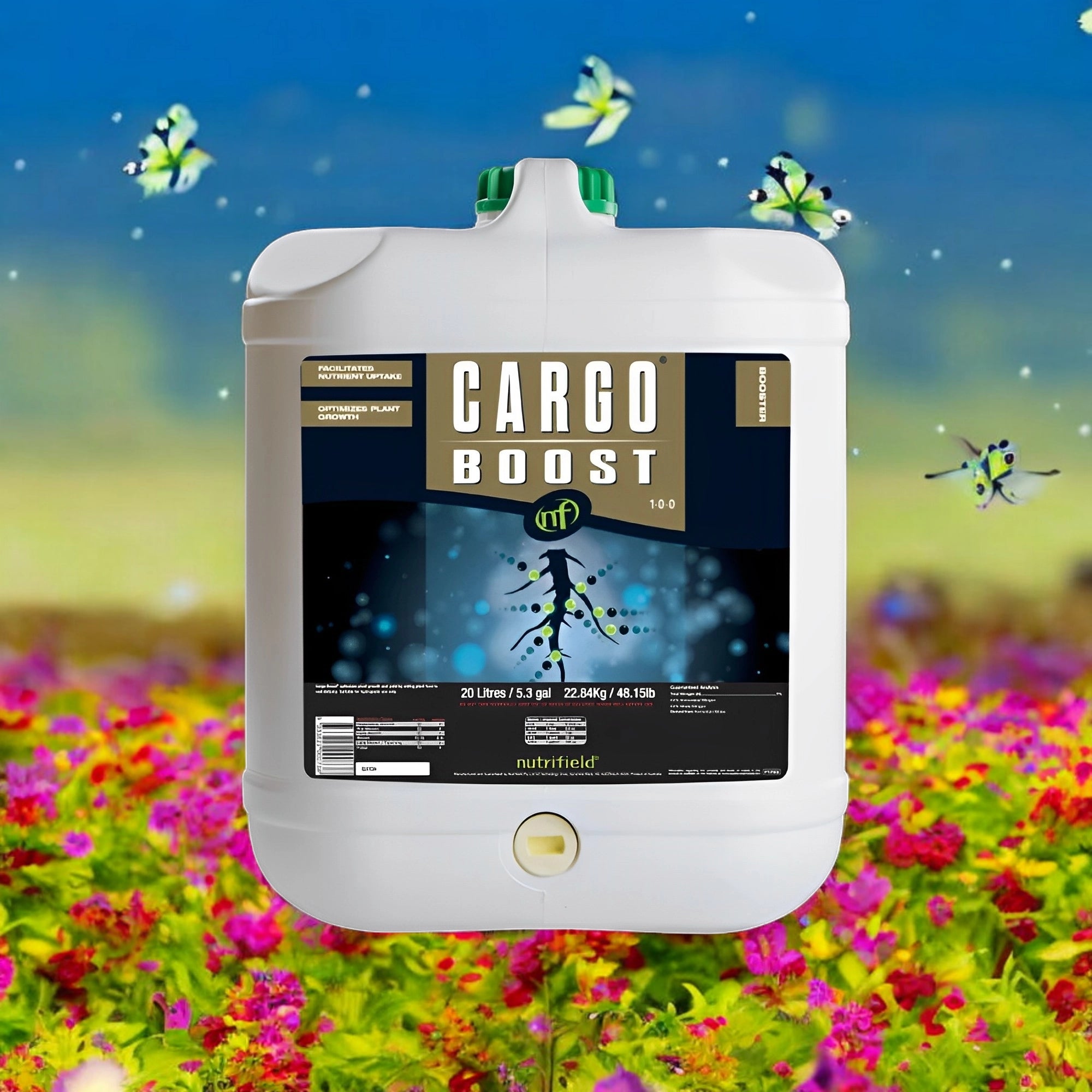 CARGO BOOST