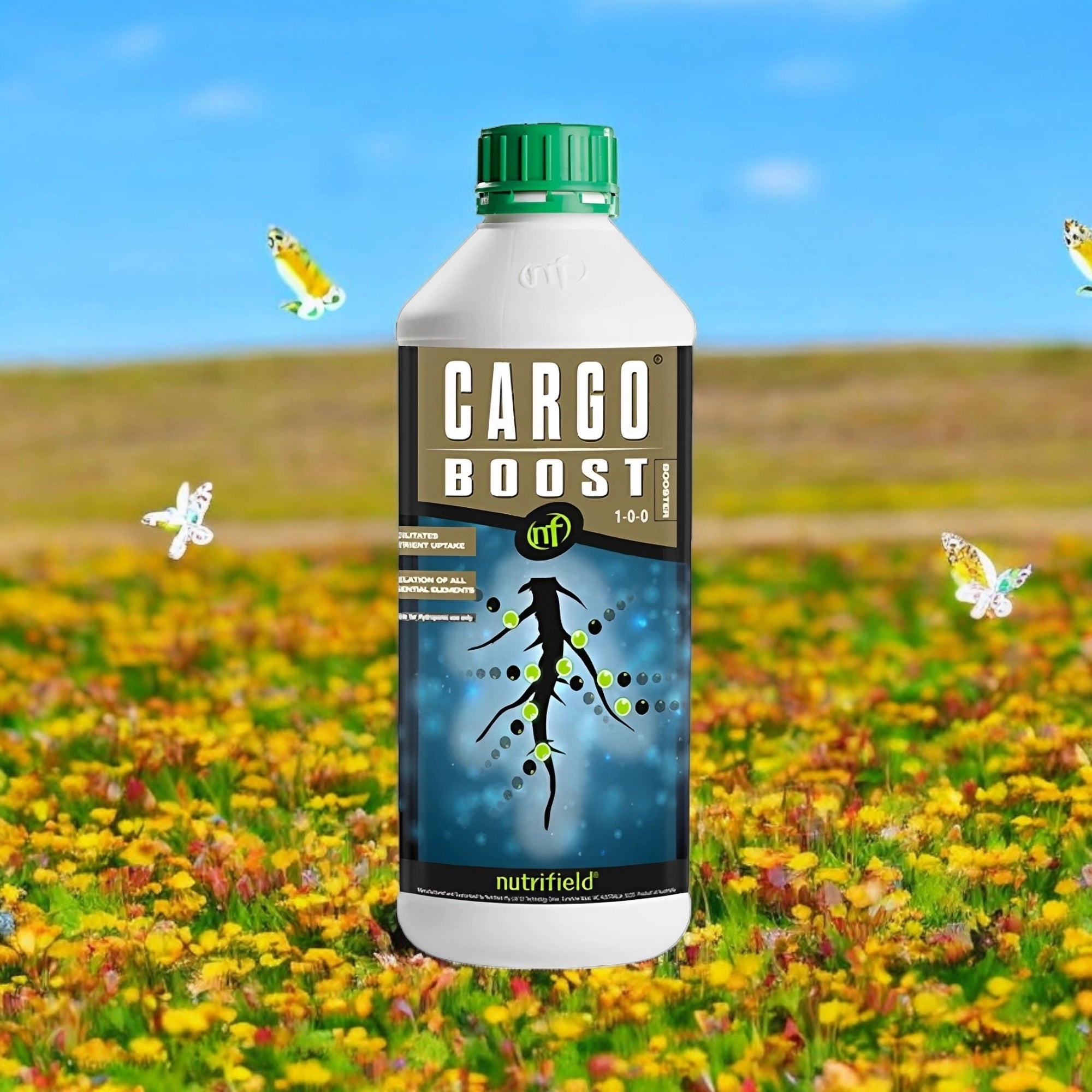 CARGO BOOST