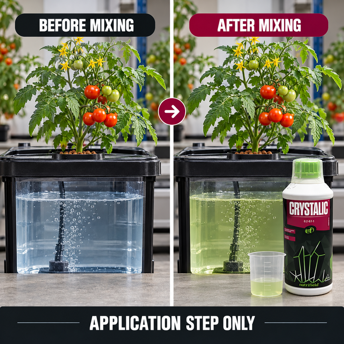 Four-step CRYSTALIC guide: prepare nutrient solution, measure 2mL/L, add and mix, then use in early and late flower.