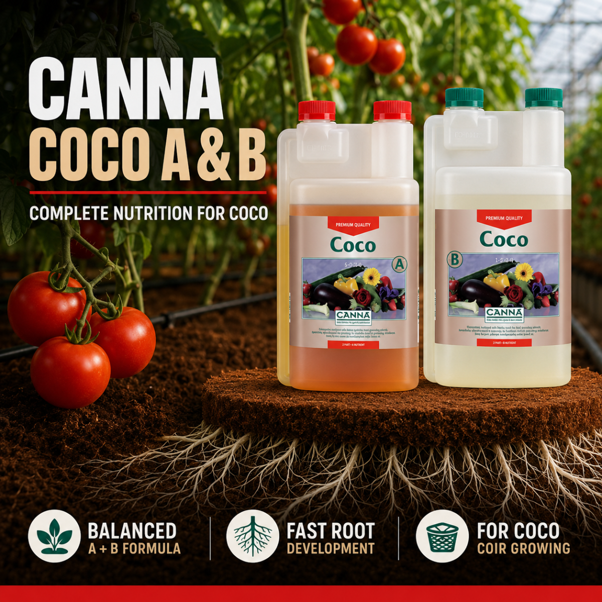 CANNA Coco A & B feature advertisement with the nutrient pair above coco coir and visible roots.