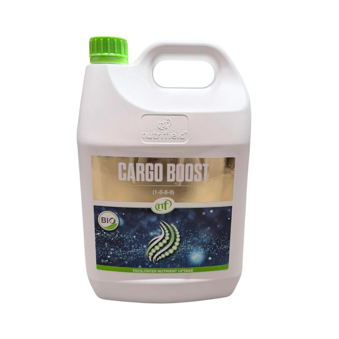 Cargo Boost