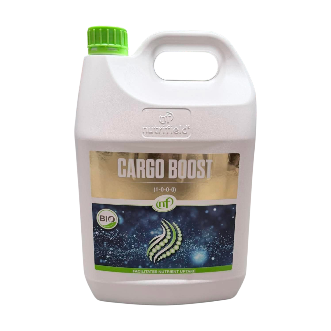 Cargo Boost