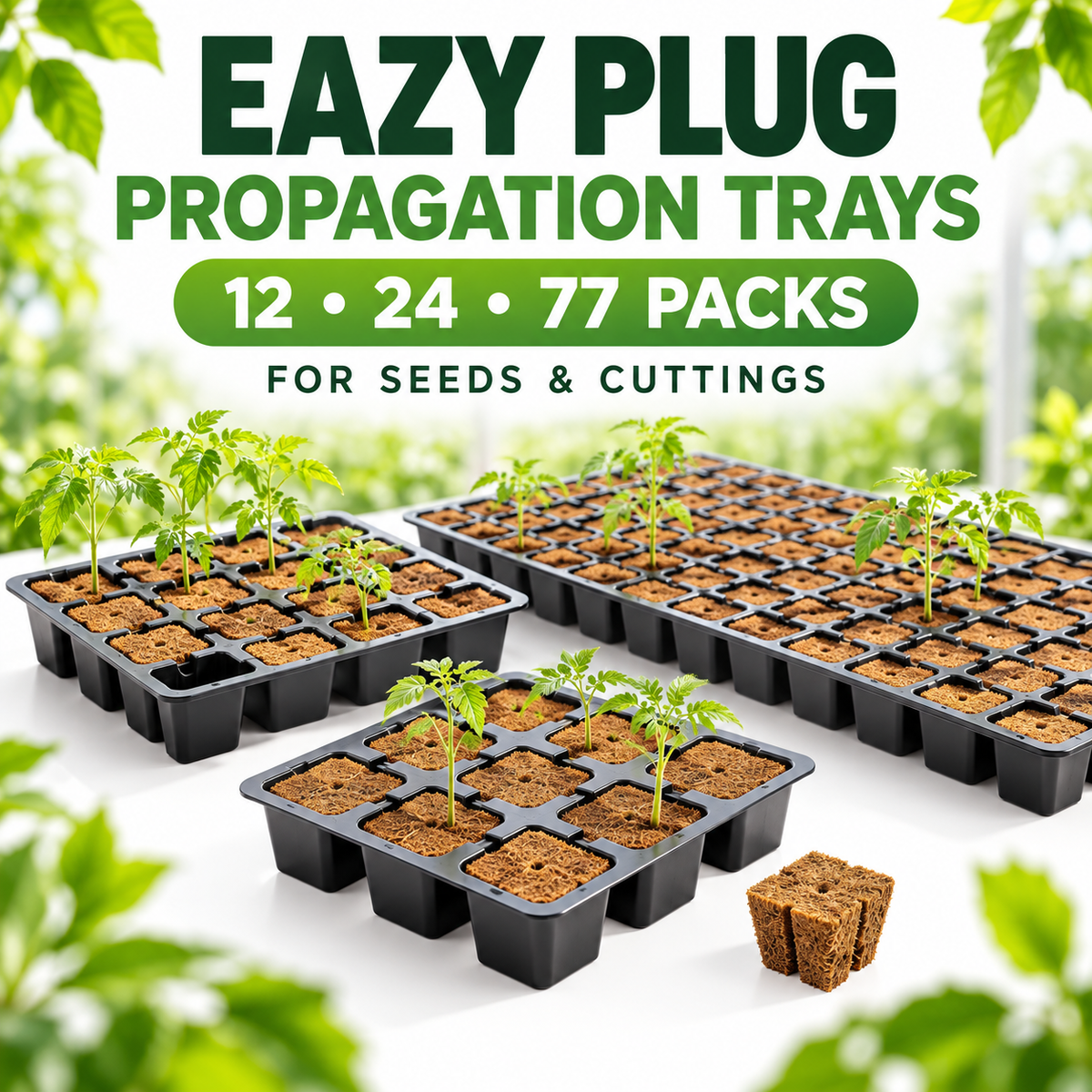 AI-created advertisement showing Eazy Plug CT12, CT24 and CT77 propagation trays with young tomato seedlings.
