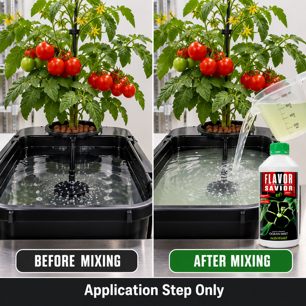 Before-and-after application setup showing the same tomato plant and reservoir before and after diluted FLAVOR SAVIOR is mixed; application step only.