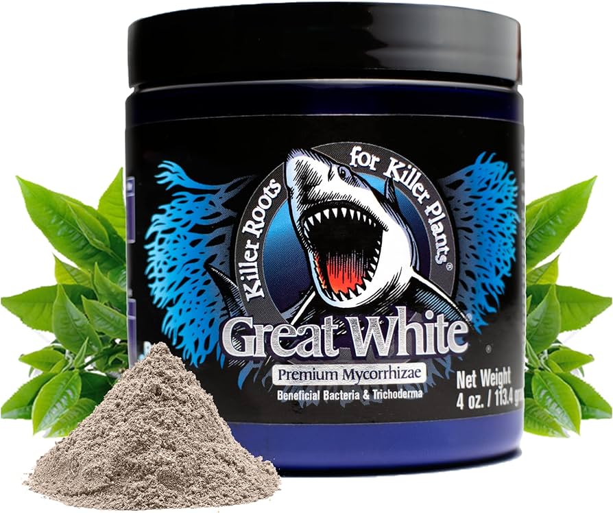 Great White Mycorrhizae