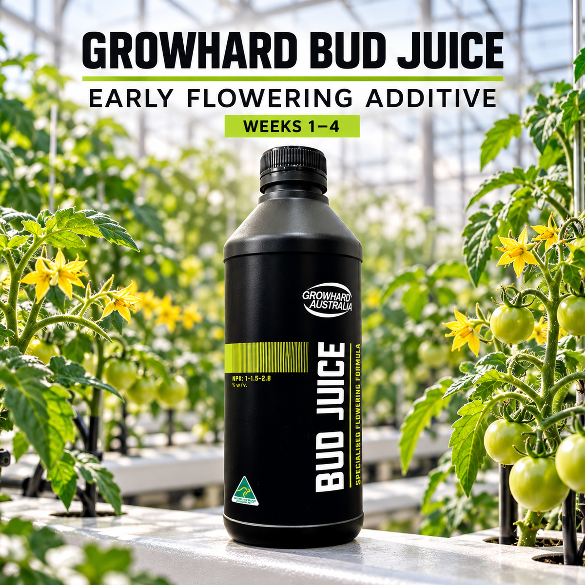 AI-created Growhard Bud Juice general advertisement in a flowering tomato greenhouse for an early flowering program during weeks 1–4.