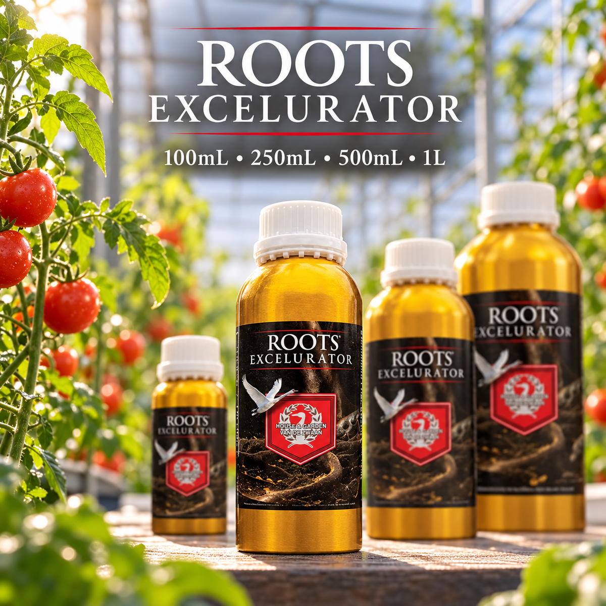 General advertisement for HOUSE & GARDEN ROOTS EXCELURATOR showing four amber bottle sizes in a tomato greenhouse.