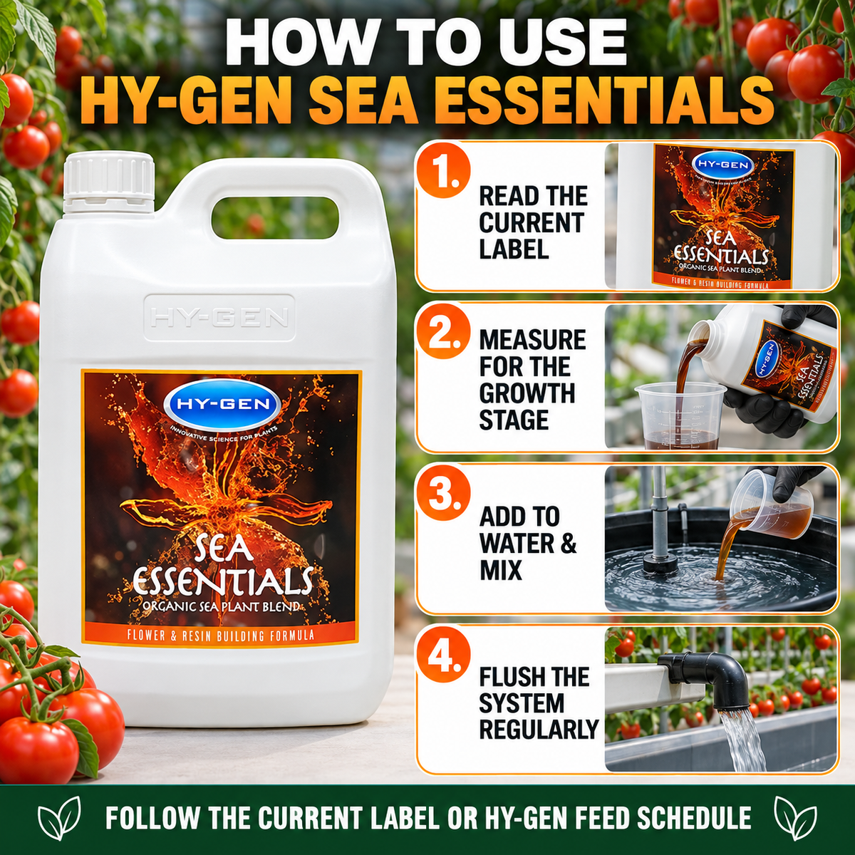 Four-step HY-GEN SEA ESSENTIALS guide: read the current label, measure for the growth stage, mix with water and flush systems regularly.