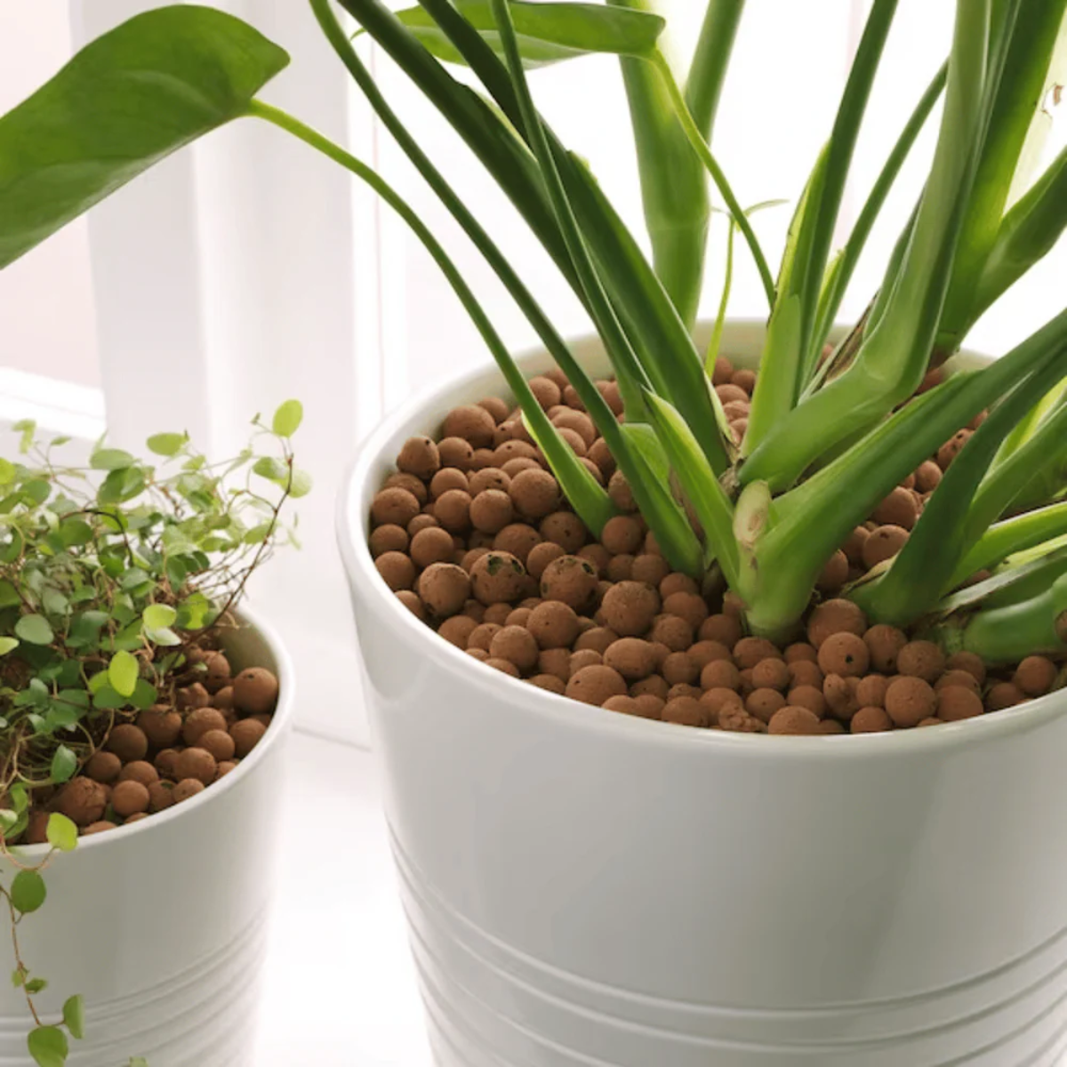 HY-GEN EuroClay 50L natural expanded clay growing medium for hydroponics, aquaponics and gardening.