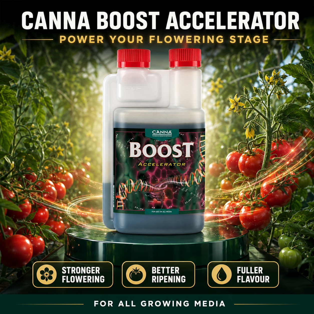 Canna Boost Accelerator