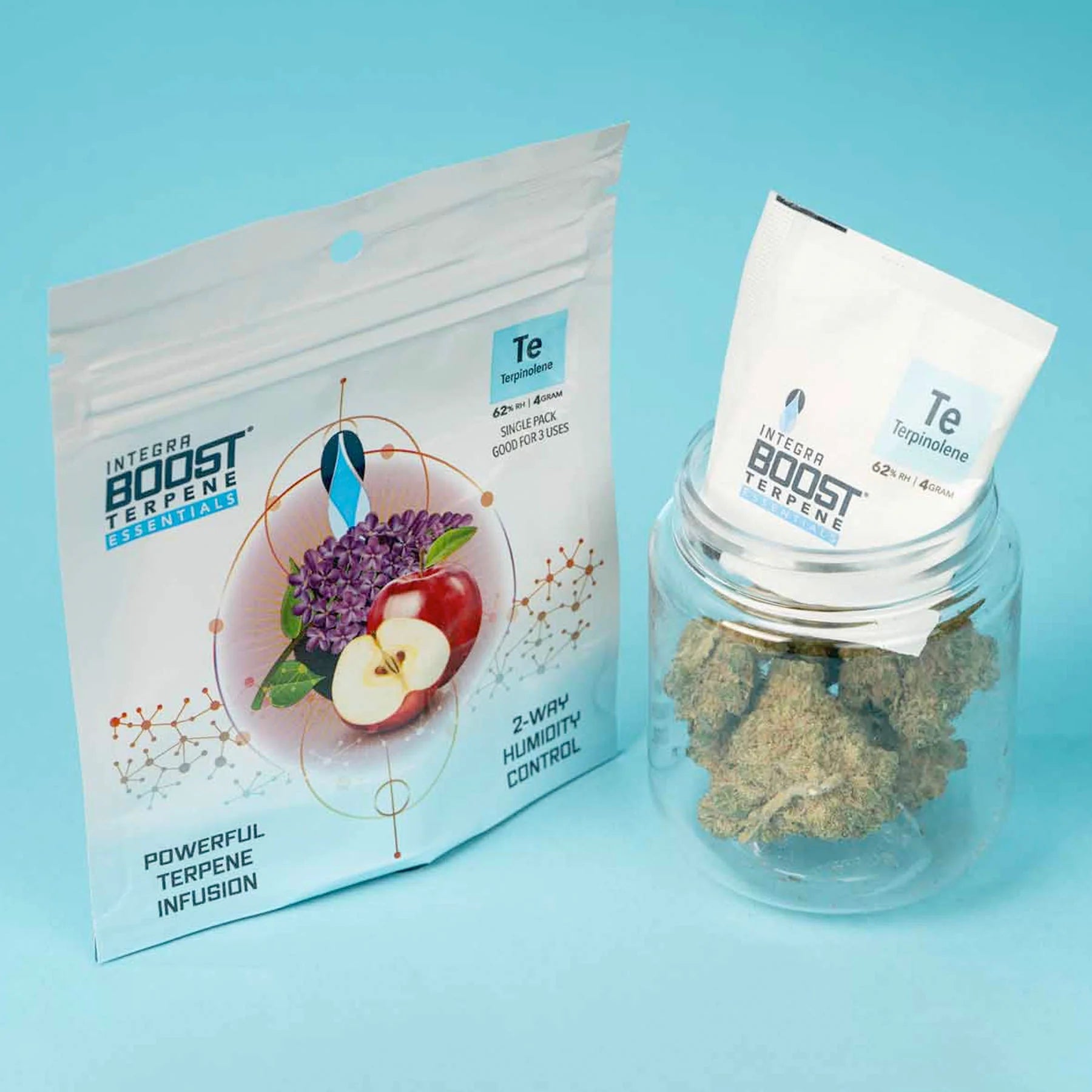 Integra Boost Terpene 62% Terpinolene 4g