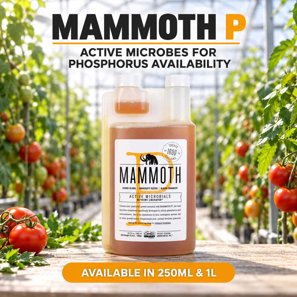 General advertisement for Mammoth P showing the 1L twin-neck bottle in a tomato greenhouse and 250ML and 1L availability.