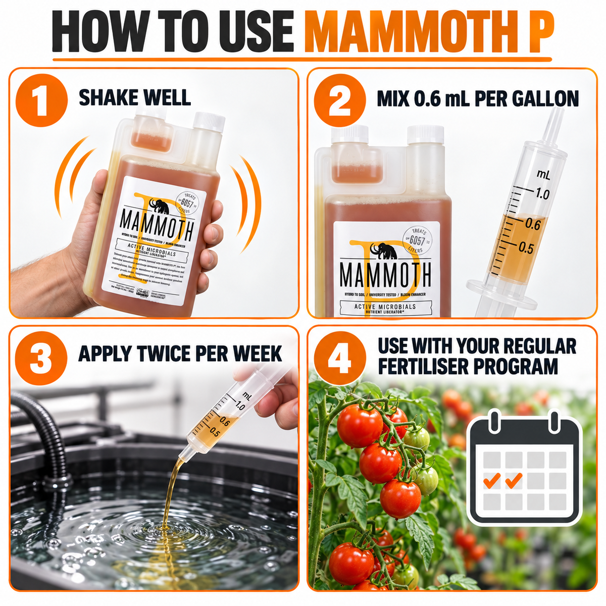 Four-step Mammoth P guide: shake well, mix 0.6 mL per gallon, apply twice weekly and use with the regular fertiliser program.