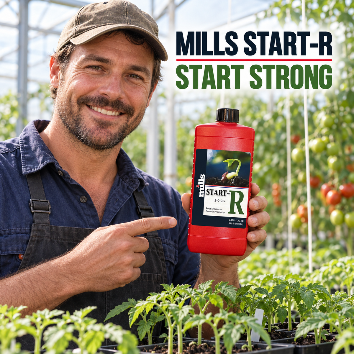Adult Australian tomato greenhouse grower presenting a closed red 1L bottle of Mills Start-R.