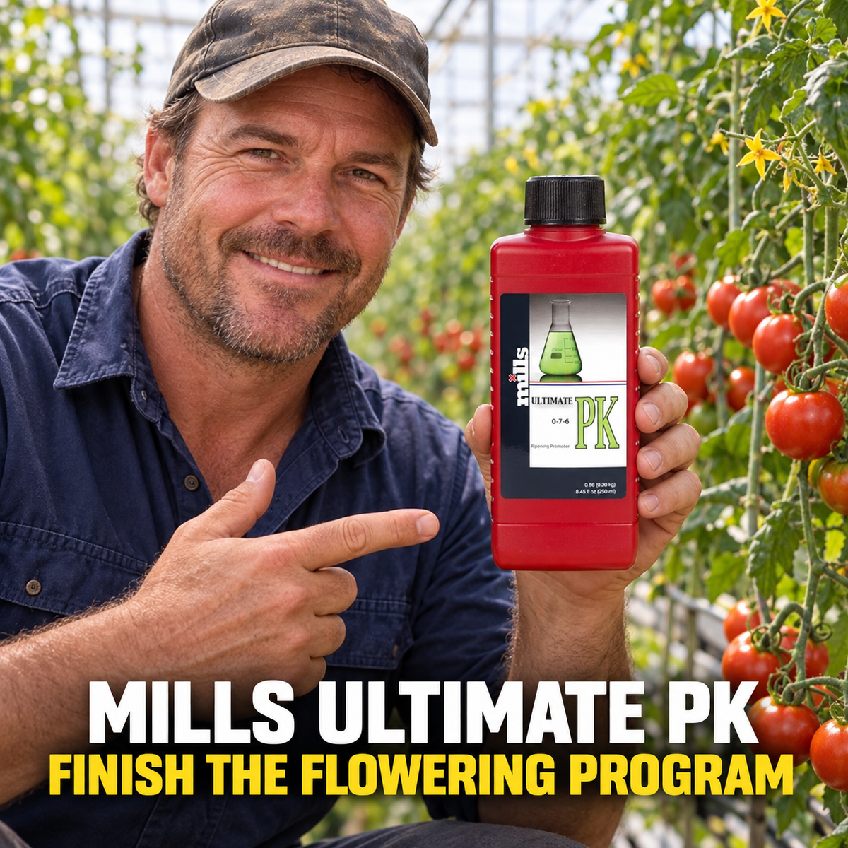 Adult Australian tomato greenhouse grower presenting a closed red bottle of Mills Ultimate PK.